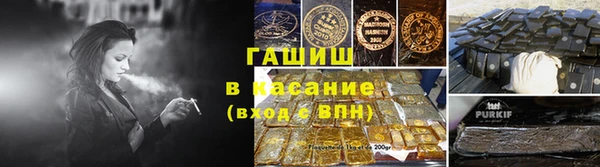 шишки Верея