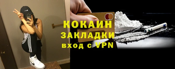 амф Верхний Тагил