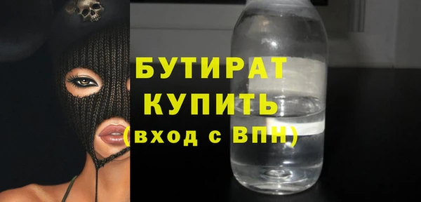 шишки Верея