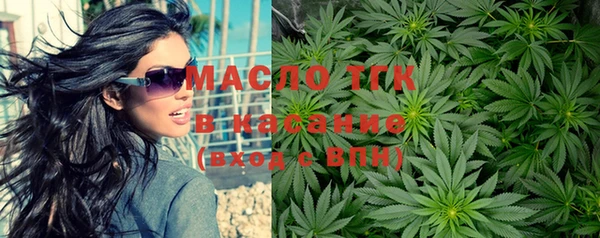 амф Верхний Тагил