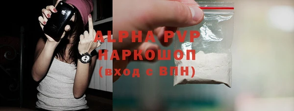 шишки Верея