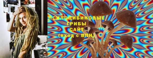 амф Верхний Тагил