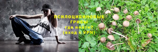 шишки Верея