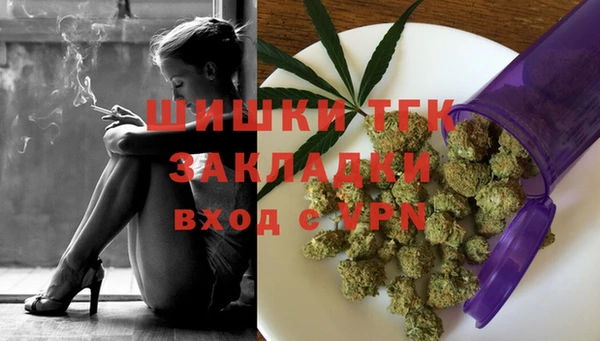 шишки Верея