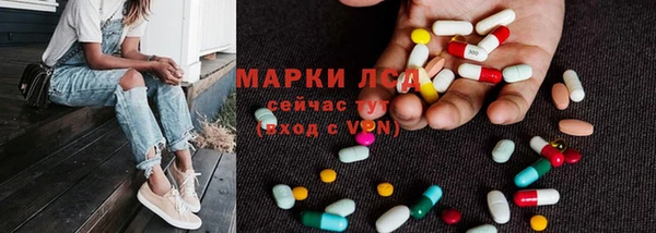 шишки Верея