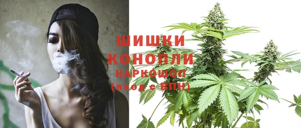 шишки Верея