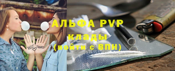 шишки Верея
