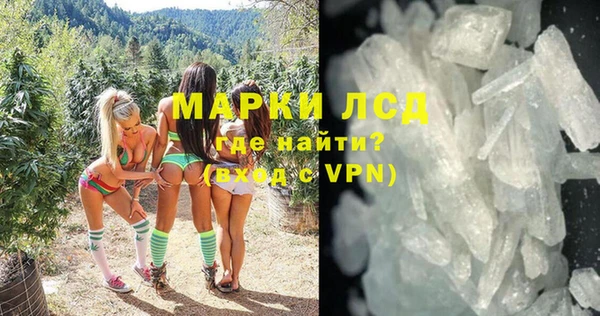 шишки Верея