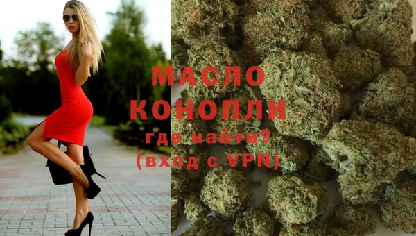 амф Верхний Тагил