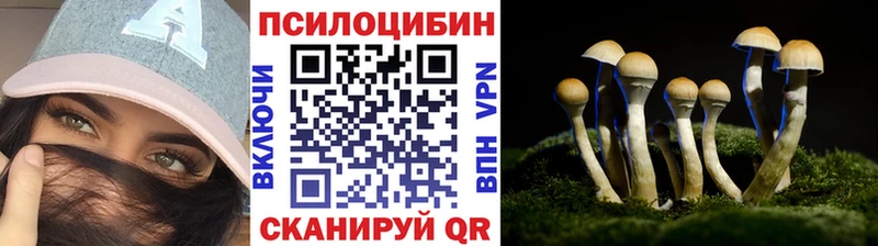 Купить закладки  Рыбное  Галлюциногенные грибы ЛСД 