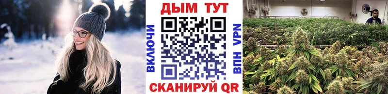 Купить  Рыбное  Шишки марихуана конопля 